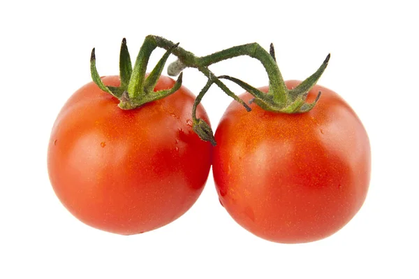 Tomatoes isolated on white background — Stock Photo, Image