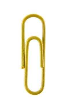 Sarı ataç beyaz arkaplanda izole edildi