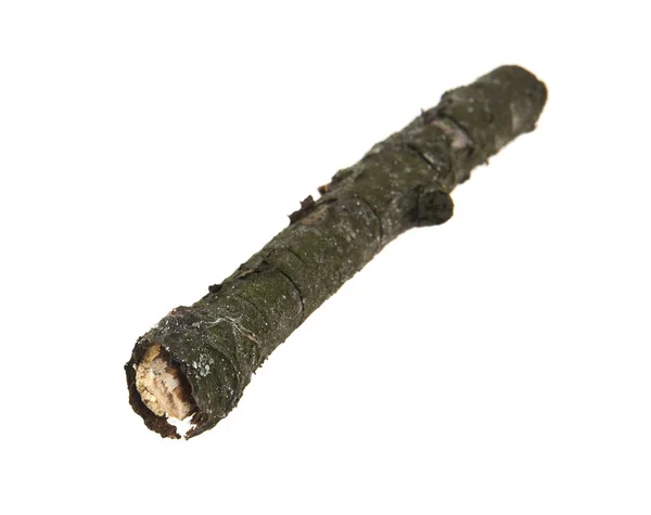 Дерев'яна паличка ізольована на білому тлі — стокове фото
