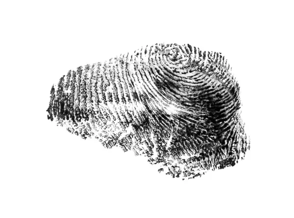 Отпечаток пальца на белом фоне — стоковое фото