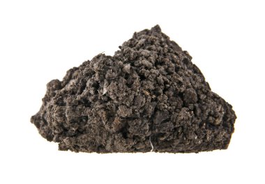 zemin üzerinde beyaz arka plan izole