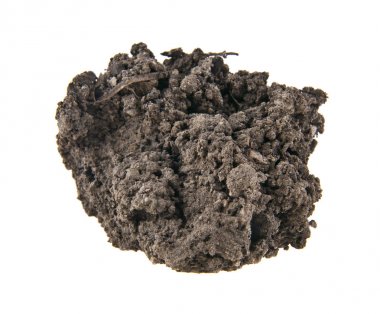 zemin üzerinde beyaz arka plan izole