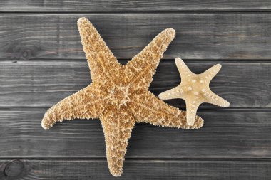 Deniz yıldızları ahşap arka plan üzerinde