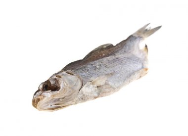 Kurutulmuş balık beyaz arka plan üzerinde izole