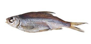 Beyaz arka plan üzerinde izole kurutulmuş kurutulmuş balık