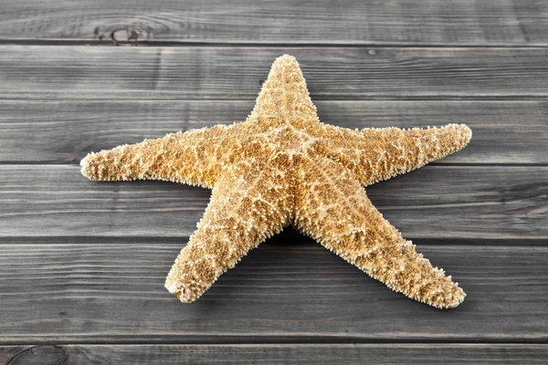 Estrellas de mar sobre un fondo de madera — Foto de Stock