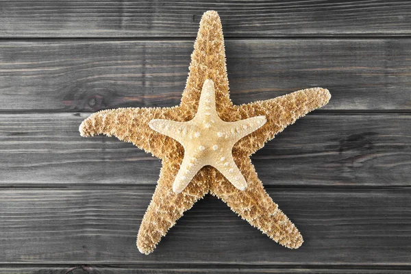 Sea stars on a wooden background — Stock Photo, Image