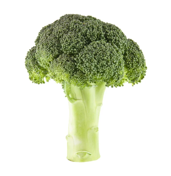 Broccoli isolerad på vit bakgrund — Stockfoto