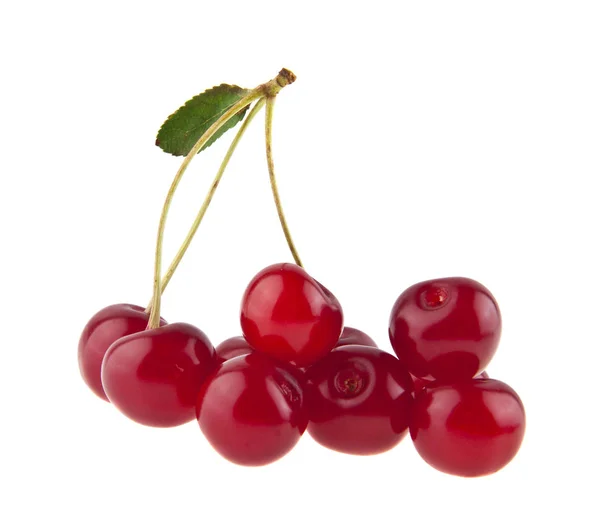 Red cherries isolated on white background — Stock Photo, Image