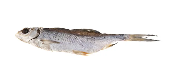 Gepökelter Fisch isoliert auf weißem Hintergrund — Stockfoto