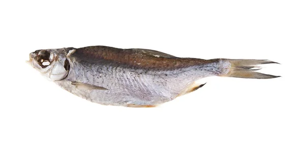 Gepökelter Fisch isoliert auf weißem Hintergrund — Stockfoto