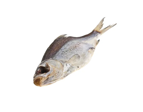 Peixe seco seco isolado sobre fundo branco — Fotografia de Stock