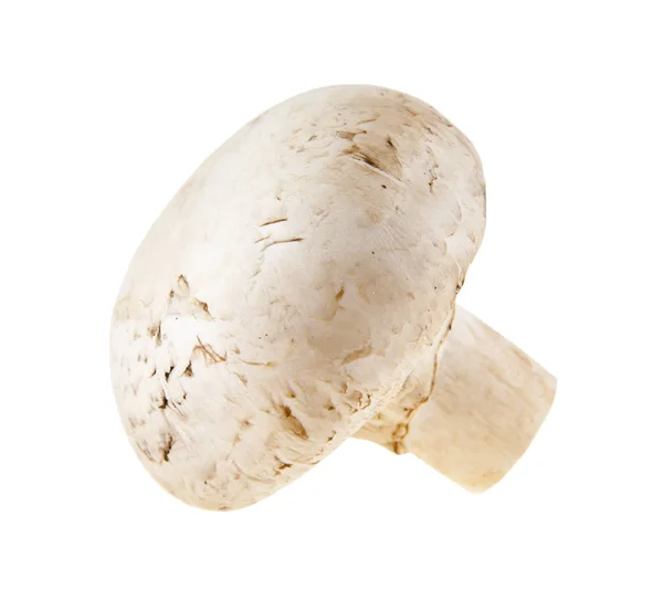 Mushroom champignon isolated on white background — Stock Photo, Image