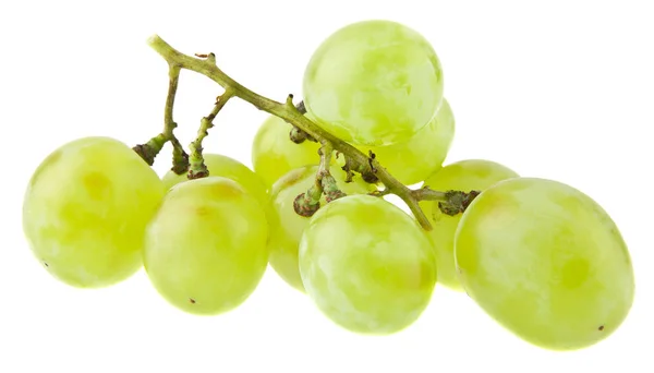 Uvas verdes isoladas sobre fundo branco — Fotografia de Stock