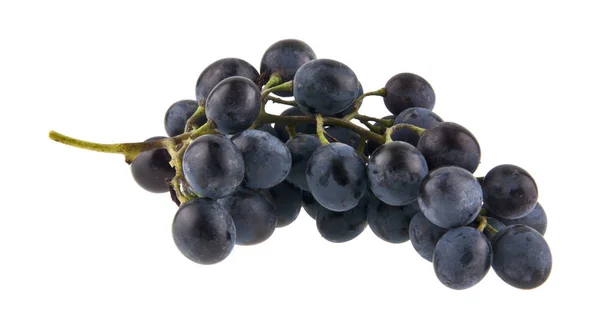 Beyaz arkaplanda izole edilmiş üzümler — Stok fotoğraf