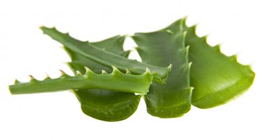 Aloe beyaz arkaplanda izole edildi
