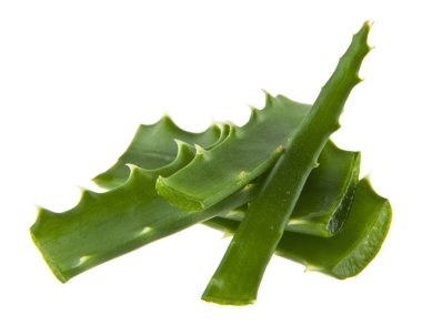 Aloe beyaz arkaplanda izole edildi