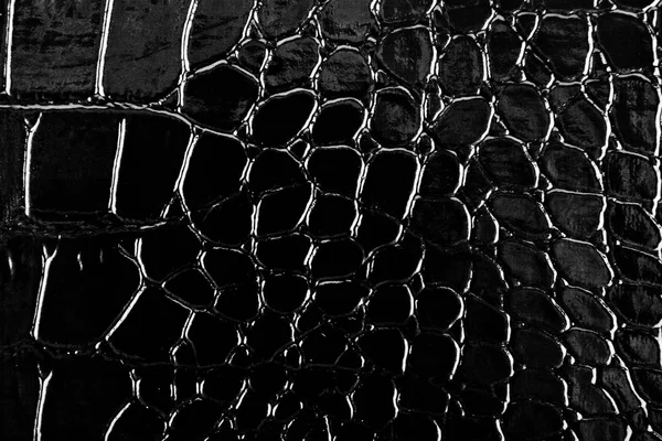 Textura de cocodrilo de cuero negro como fondo —  Fotos de Stock