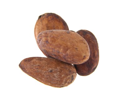 Beyaz arka plan üzerinde izole kakao taneleri