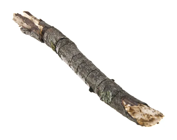 Suchej gałęzi drewniane na białym tle — Zdjęcie stockowe