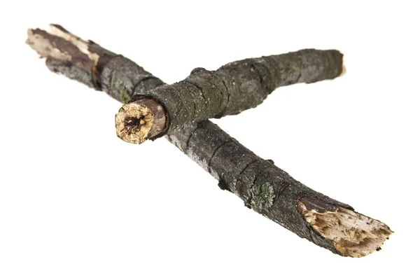 Torrt trä filial isolerad på vit bakgrund — Stockfoto