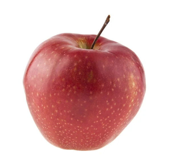 在白色背景上分离的红苹果 — 图库照片