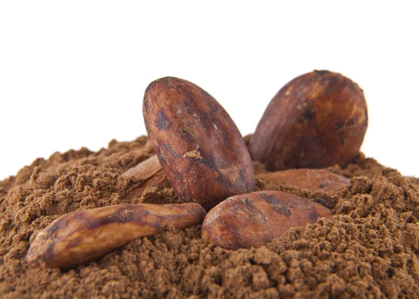 Cacao molido y granos aislados sobre fondo blanco —  Fotos de Stock