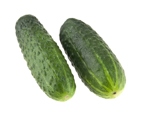 Juicy, fresh cucumbers isolated on white background — Stock Photo, Image