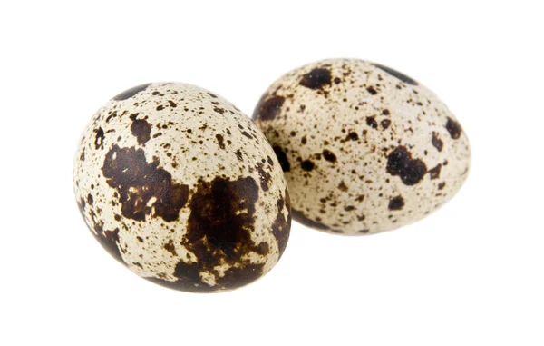 Křepelčí vejce izolované na bílém pozadí — Stock fotografie