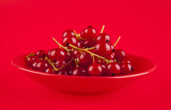 Grosella roja sobre un fondo rojo —  Fotos de Stock