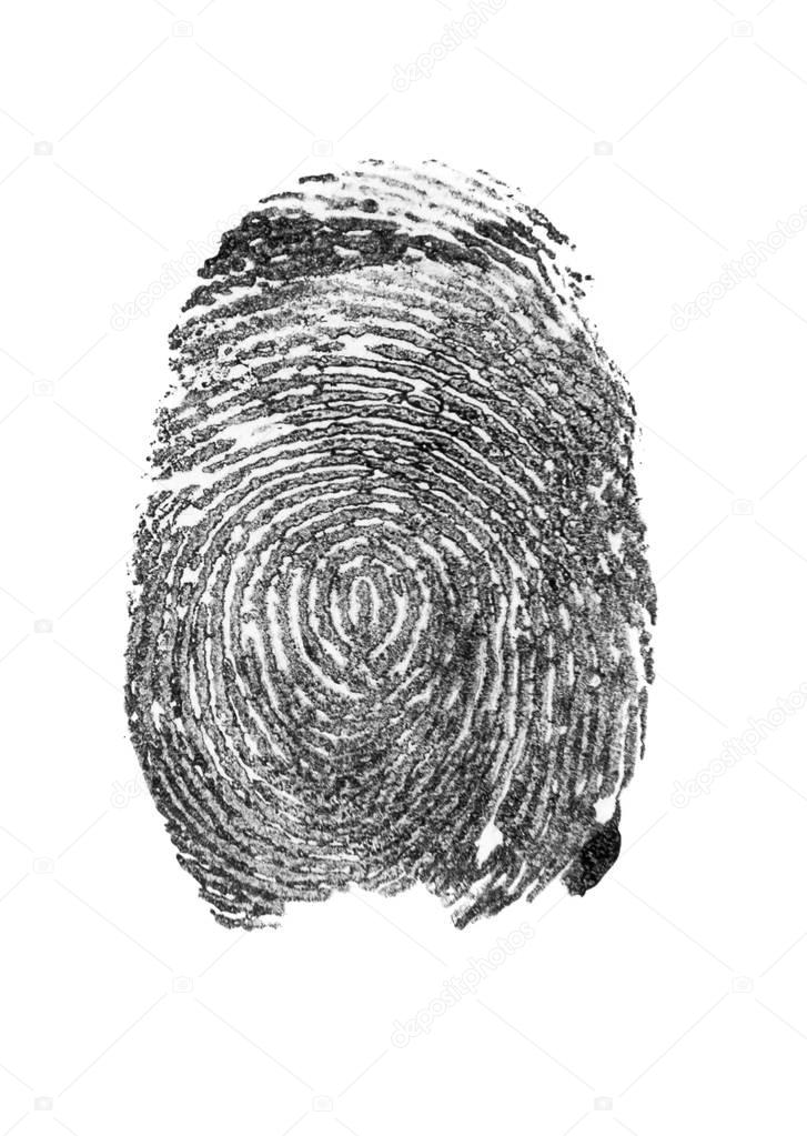 fingerprint isolated on white background