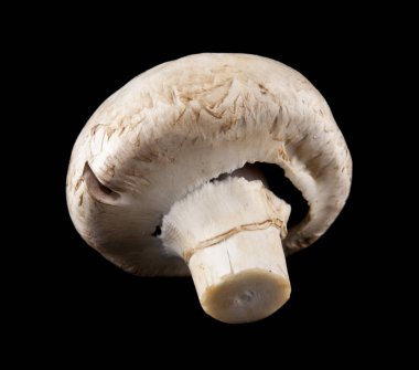 Siyah bir arka plan üzerinde mantar petrol