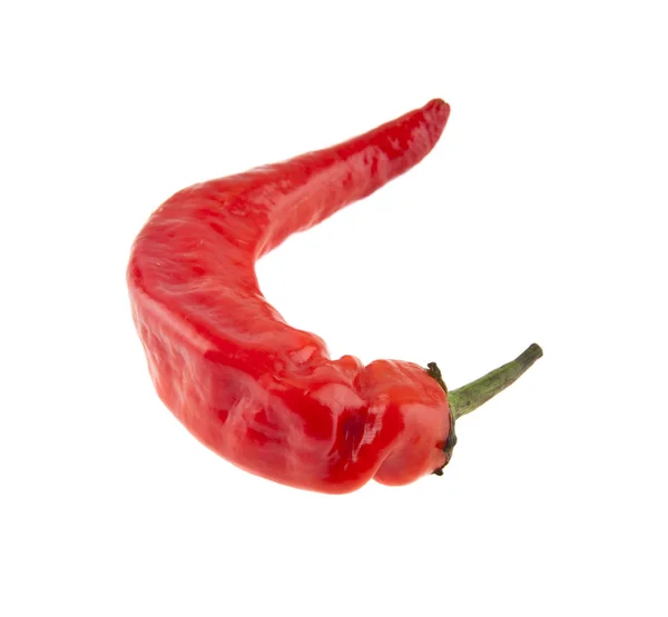 Pimiento rojo y picante aislado sobre fondo blanco —  Fotos de Stock