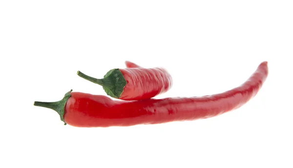 Röd varm chili peppar isolerad på vit bakgrund — Stockfoto