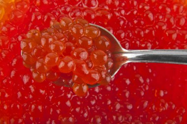 plaser kırmızı havyar ve metal bir kaşık kırmızı havyar