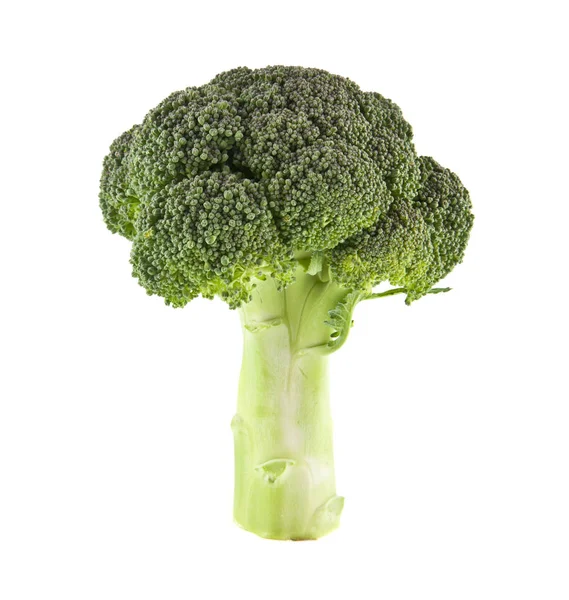 Broccoli geïsoleerd op witte achtergrond — Stockfoto