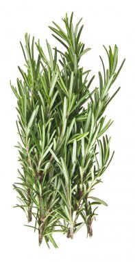 Beyaz arkaplanda biberiye izole edildi