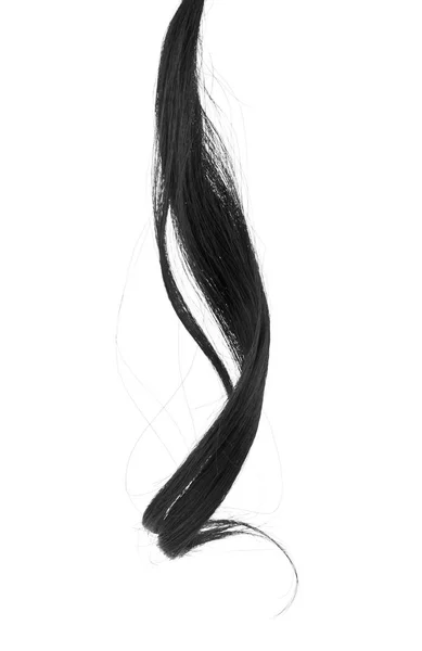 Curl of black hair isolated on white background — Stock Photo, Image