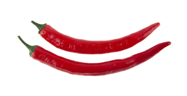 Pimenta quente vermelha isolada no fundo branco — Fotografia de Stock