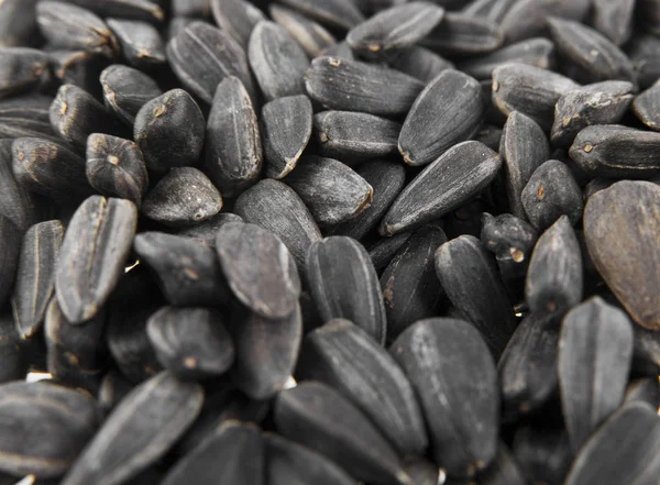 Sunflower seeds as a background — Stock Photo, Image