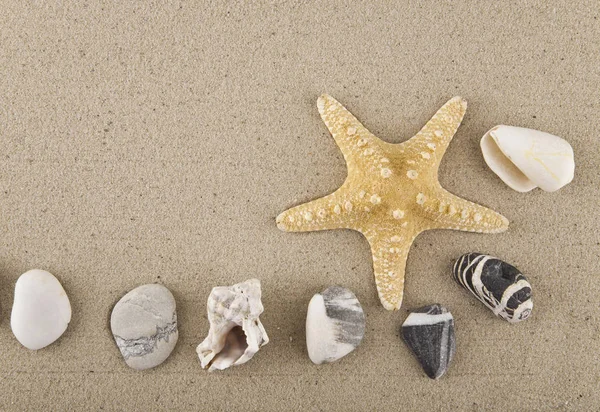 Conchiglie, pietre e sabbia di stelle marine per il relax come backgrou — Foto Stock