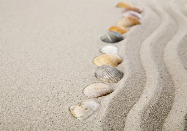 Cáscaras de mar sobre arena para la relajación como fondo — Foto de Stock