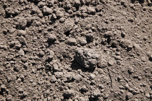 Background from black soil. Textured surface soil. — Stock Photo, Image