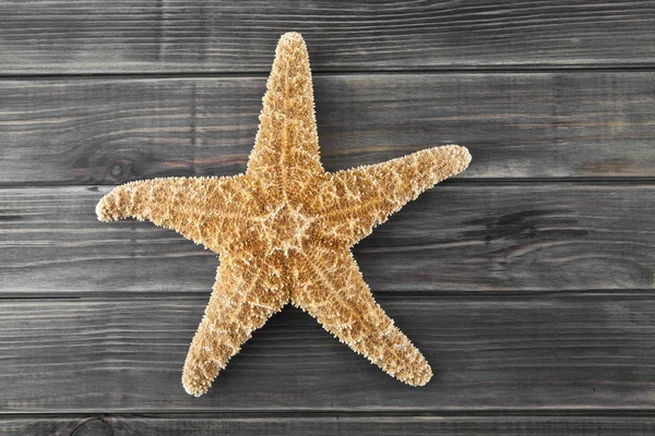 Sea stars on a wooden background — Stock Photo, Image