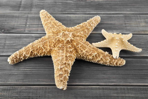 Sea stars on a wooden background — Stock Photo, Image