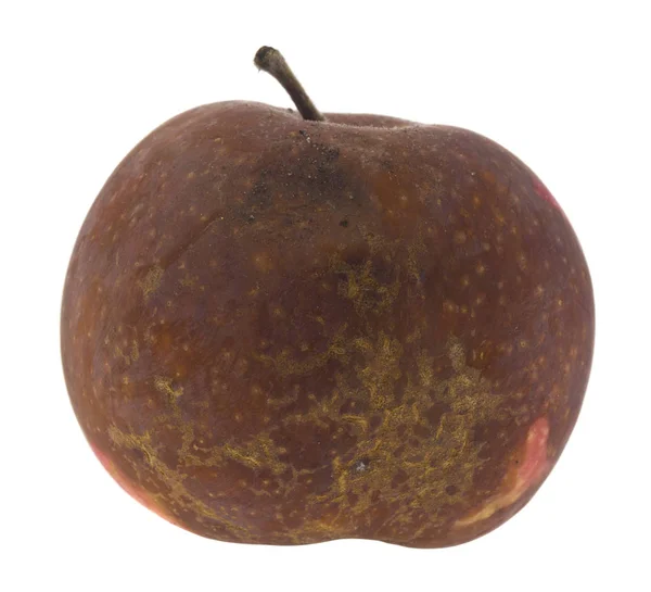 하얀 배경에 분리되어 있는 썩은 사과 — 스톡 사진
