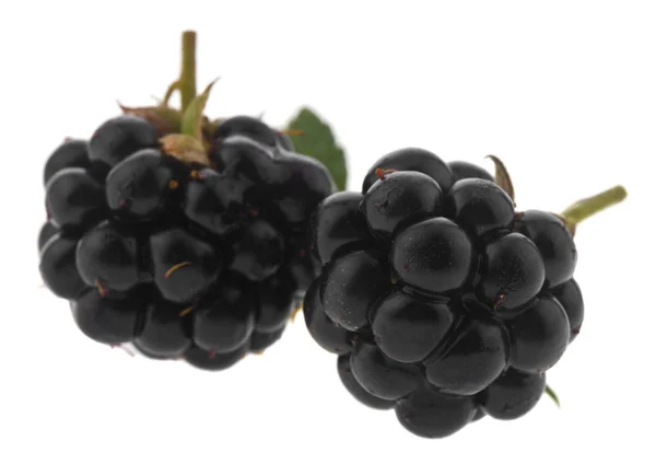 黑莓浆果在白色背景下分离 — 图库照片