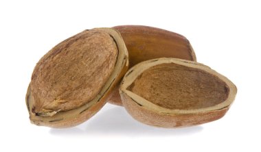 Fındıklar beyaz arka planda izole edilmiş..