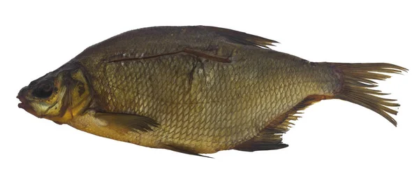 Smoked bream fish isolated on a white background. — ストック写真