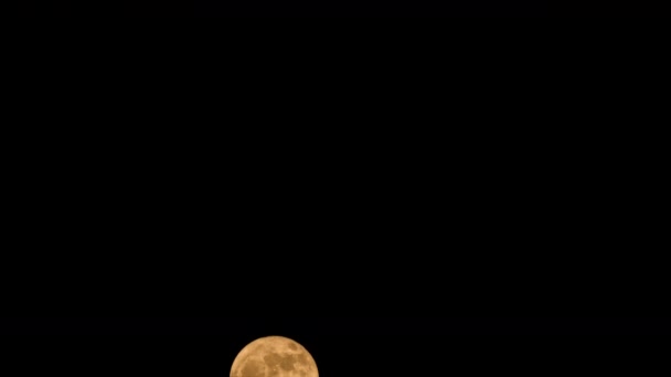 Full moon timelapse — Αρχείο Βίντεο